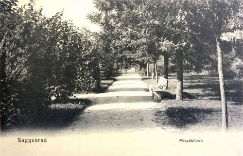 Püspökfürdő:park részlet.1903