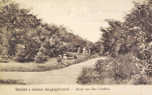 Vizakna sós gyógyfürdő:park részlet.1906